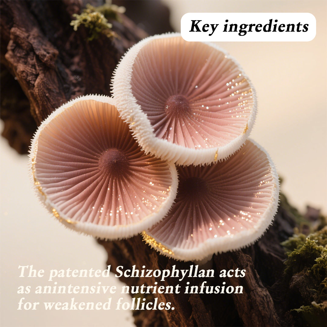 Analysis of Schizophyllan Hair Loss Prevention and Regrowth Efficacy: A Natural, Gentle Scalp Care and Hair Repair Solution