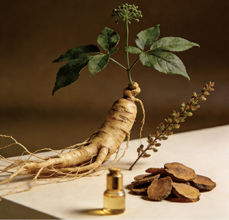 The “Savior” of the Hairline: What Exactly Does Ginseng Do in Hair Growth Serums?