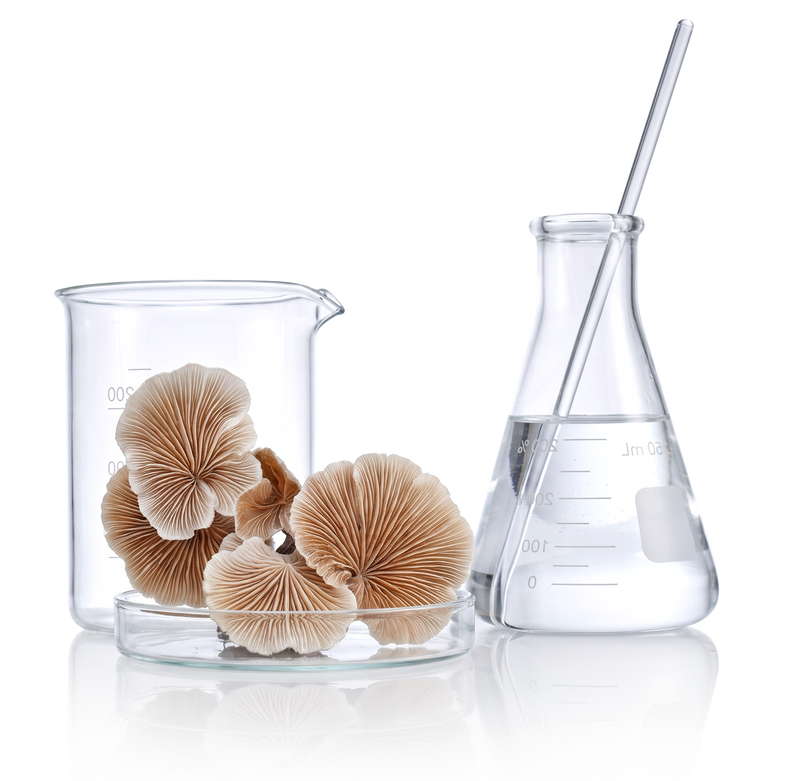 INGREDIENT SCIENCE