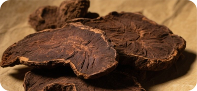 Fo-Ti Root Extract
