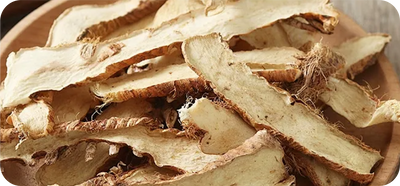Anemarrhena Root