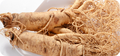 Red Ginseng Extract