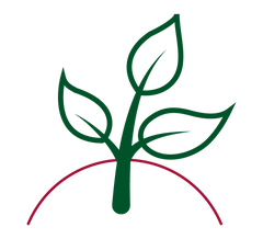 Rich, Fertile Soil