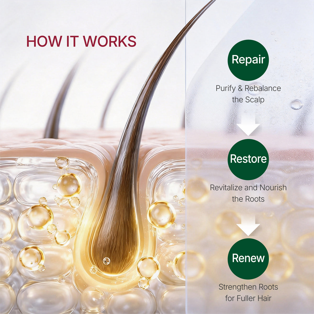Hair Density Shampoo Serum Applicator Kit
